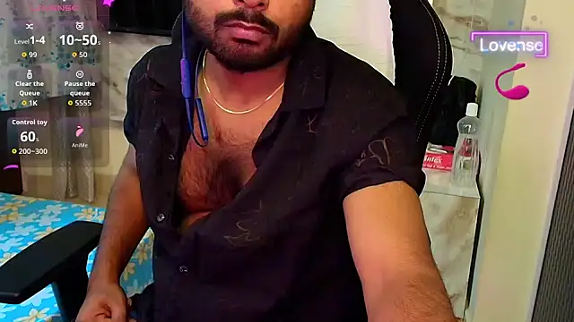 SilverShade3 webcam