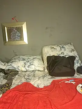 Petrossa's live cam