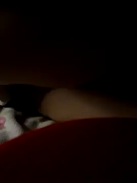 -Tara-a webcam