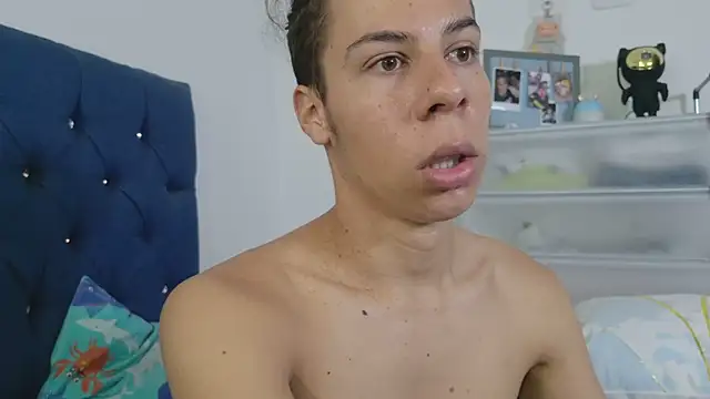 grey___27 webcam