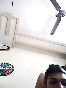 bigthickjunk webcam