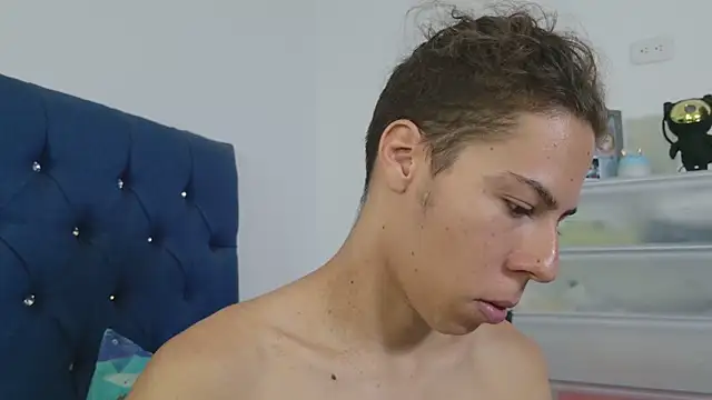 grey___27 webcam