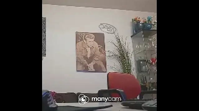 der_dino30 webcam