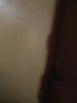 Chomi2014 webcam