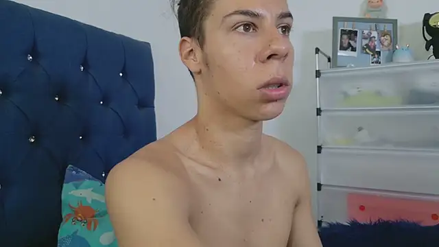 grey___27 webcam