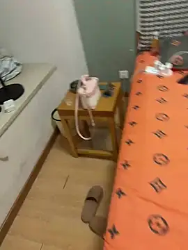 yangyang520-18girl webcam