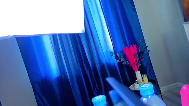 PerryKitty webcam