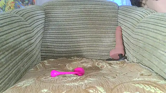 SHARP299 webcam