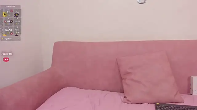 Anthaarr webcam