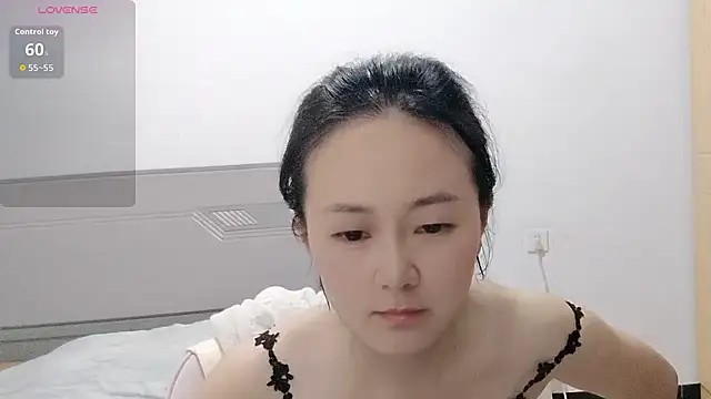 fanfan-FF webcam