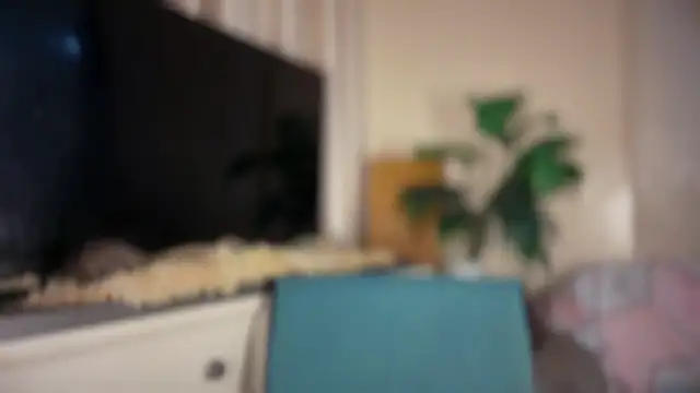 Ts_glamxx webcam