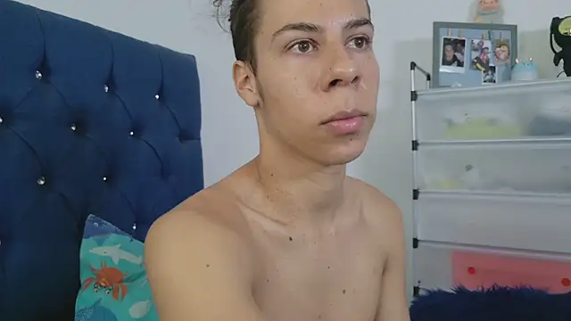 grey___27 webcam