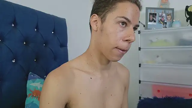 grey___27 webcam