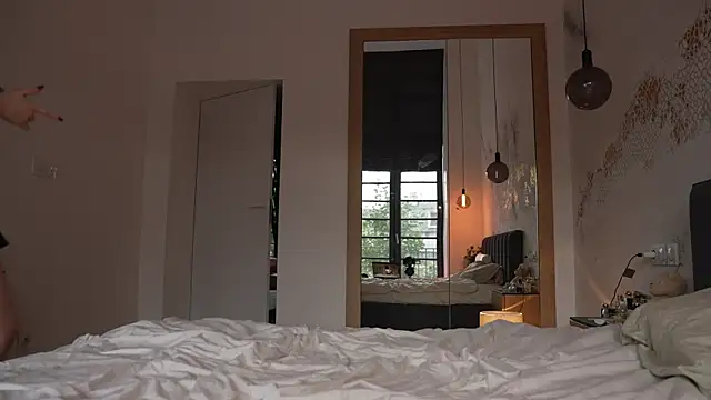 ibiddi webcam