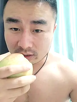 guozuo webcam