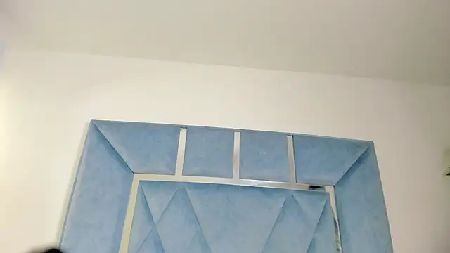 Lucy_asm webcam