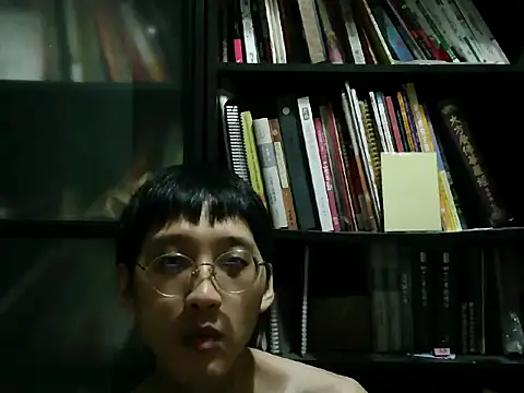 Lv8763 webcam