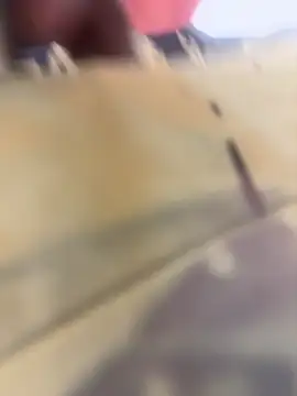 BBC_LONGPIPE22 webcam