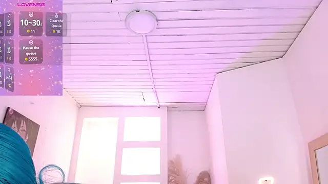 Haddes_as webcam
