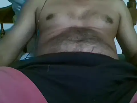 bbccol1 webcam