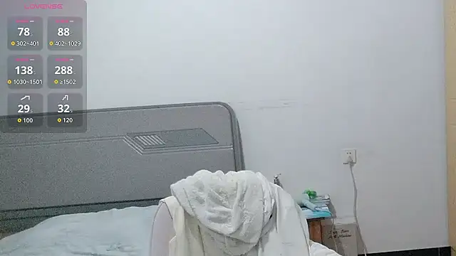 fanfan-FF webcam