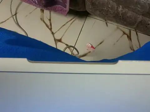 naughty-ebony1 webcam