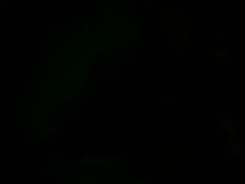 pretty_jacky01 webcam