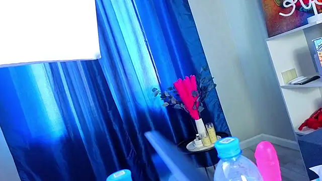 PerryKitty webcam