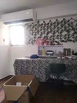 Alison_fitness webcam