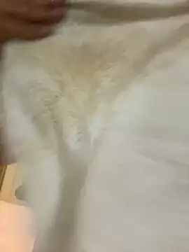 Hannagarces webcam