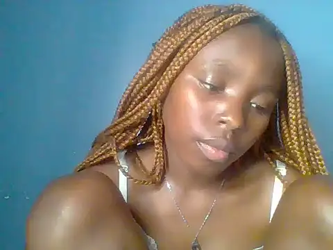 Chocolate-brownie webcam