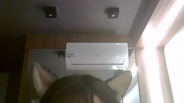 SkinnyKitten webcam