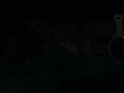 Lhovely webcam