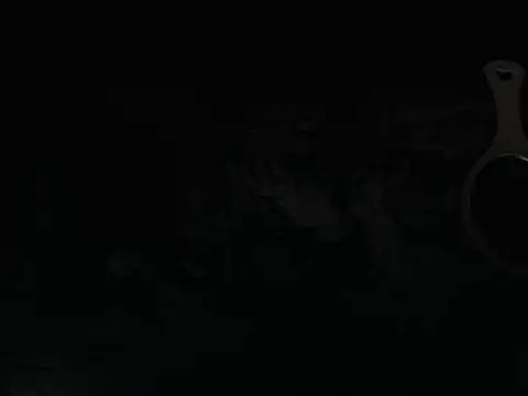 Lhovely webcam