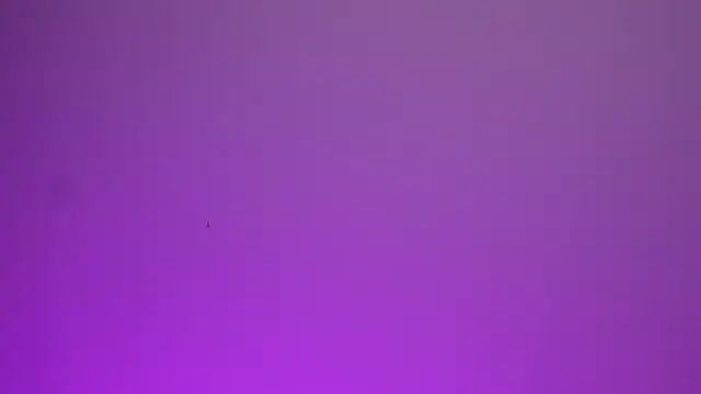 ValeryNova webcam