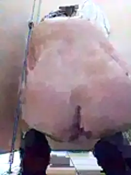 Pokaz2020 webcam