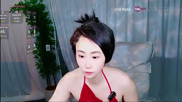 Dolpin_ webcam