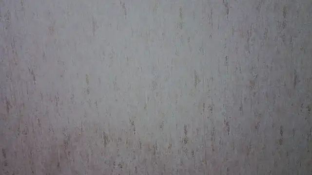 georgymaryhi webcam