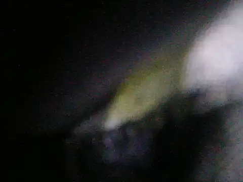 ariellth webcam