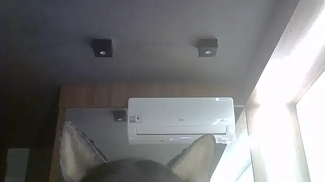 SkinnyKitten webcam