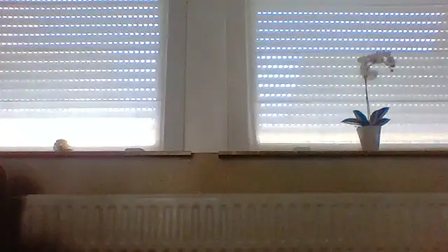 bertolini webcam