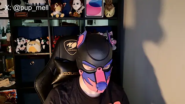 MellPUP webcam