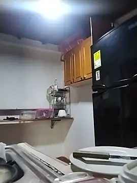 Sakura_moon_ webcam