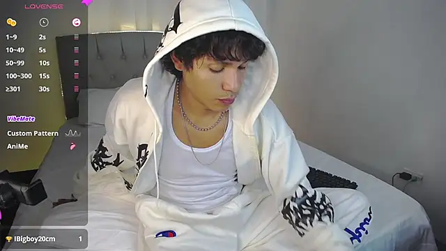 LeoDans_ webcam