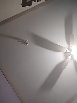 ReallyReallyReal webcam