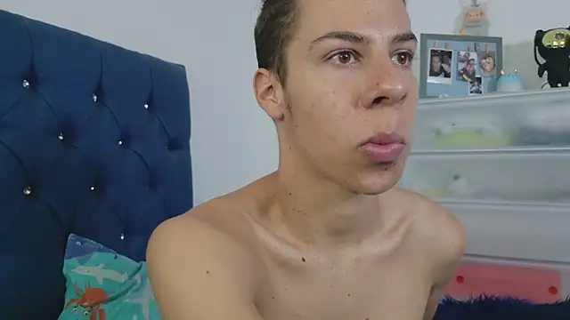 grey___27 webcam