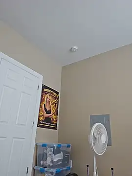 AmethystFoxx webcam