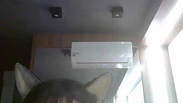 SkinnyKitten webcam