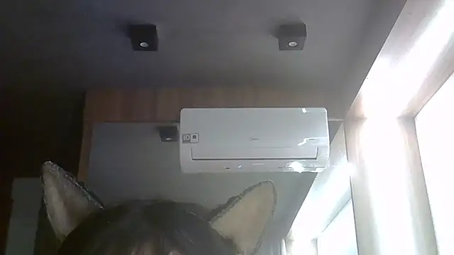 SkinnyKitten webcam