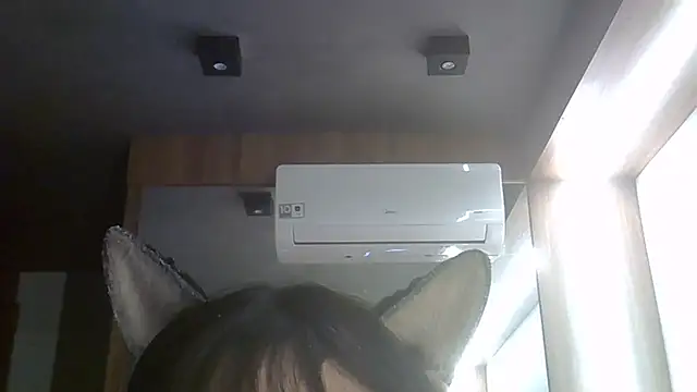 SkinnyKitten webcam